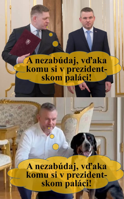 Lojalita? Psia povinnosť!